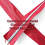Vibrant Red Fabric with Nickel-Coloured Teeth Zipper - SRTNYLCT3